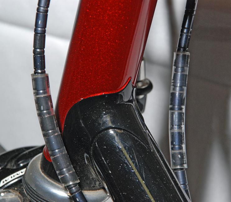 DSC_7948a.jpg - Fattic detail.