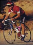 94_02Merckx1