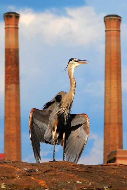 DSC_1717a.jpg - The two smokestacks are on the Georgia side of the river. I wish I'd had a tripod, maybe I could have shot a small enough aperture to get them in focus. 
