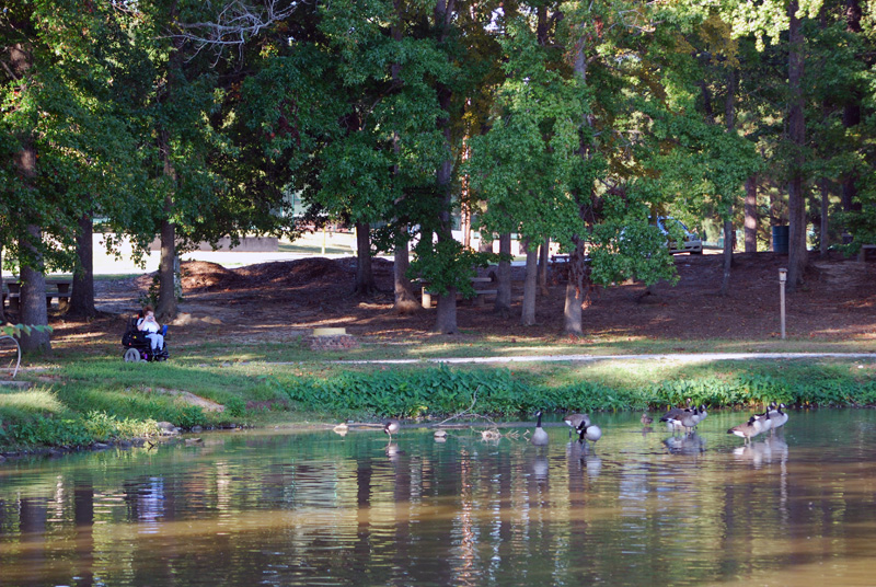 DSC_2604a.jpg - Sieren photographing Canadian Geese at Cooper Creek Park