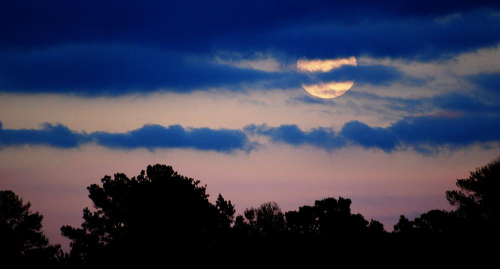 DSC_3611a.jpg - Moon over horizon. Or maybe I should say Verizon, since one of their stores is just below those trees in this shot.