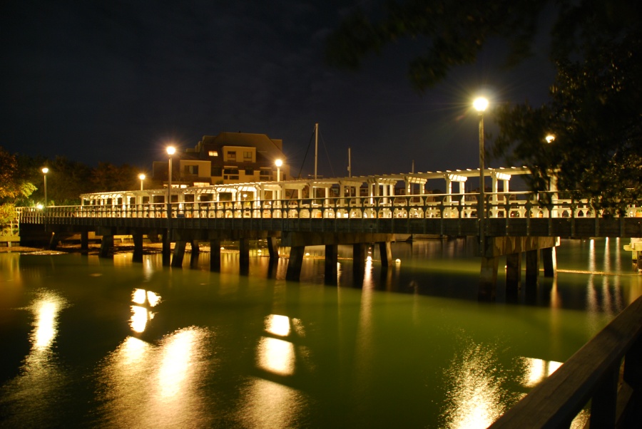 DSC_4453.JPG - This is the small bridge that leads to the Disney Resort.  When we arrived Sunday, we went out for a late dinner and returned about 1am to find a Black Crowned Night Heron perched on the rail in the middle of the bridge.  This is a beautiful bird that I had never photographed before so I went back to look for him every so often for the next few days.  No luck, though I did manage to get this nice time exposure of the bridge.