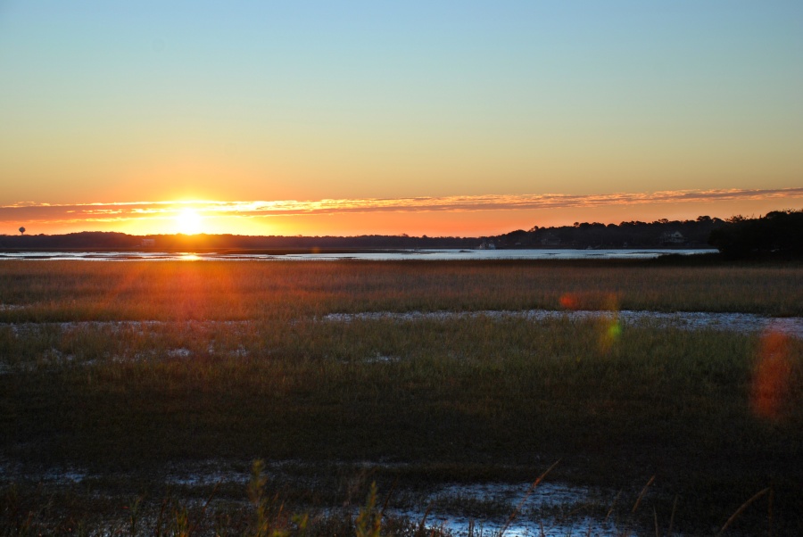 DSC_4565a.jpg - Wednesday morning I got up early and went to Pinkney Island National Wildlife Refuge.  It is on a small island that separates Hilton Head from the mainland.  The tiny entrance between two bridges can be easy to miss, even with the signs.  This shot was taken on the road that leads to the parking lot.  Of the fourteen miles of roads on the Island, it is only on this few hundred yards that vehicles are permitted.