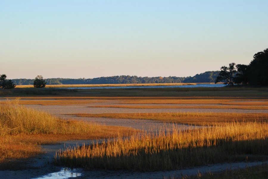 DSC_4566a.jpg - This was shot on the opposite side of the road from the previous image.  The alternating pattern of reeds and sand is striking, especially in the low angle of the sun.