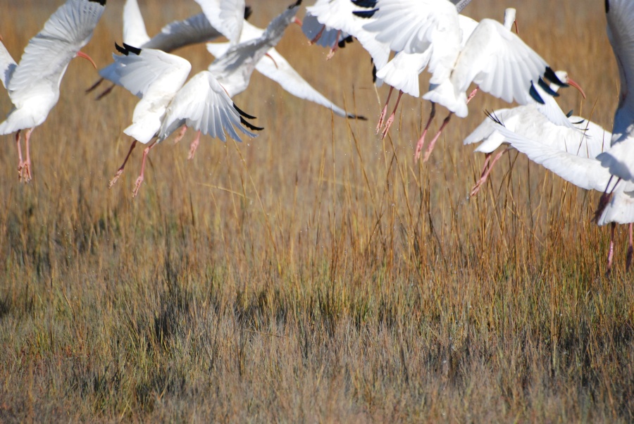 DSC_4628.JPG - Then my cel phone rang.