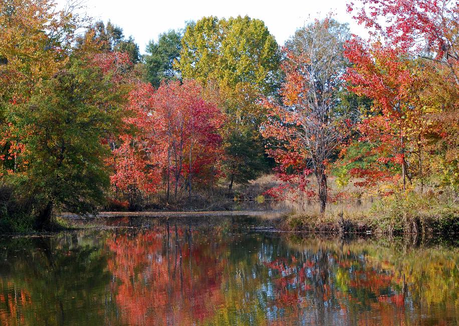 DSC_4026a.jpg - Oxbow Meadows