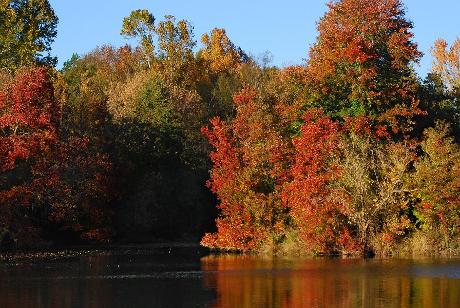 DSC_4264a.jpg - The light was beautiful.  Maybe just a bit low, but since I was only going to have forty five minutes here, it wouldn't be much of a problem.  The fall colors were nice, I was sorry I left the 18-135mm in the car, but I got the best tree shots I could with the 70-300mm.