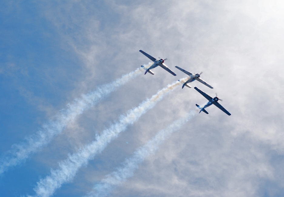 DSC_6707a.jpg - Looping in front of the sun.