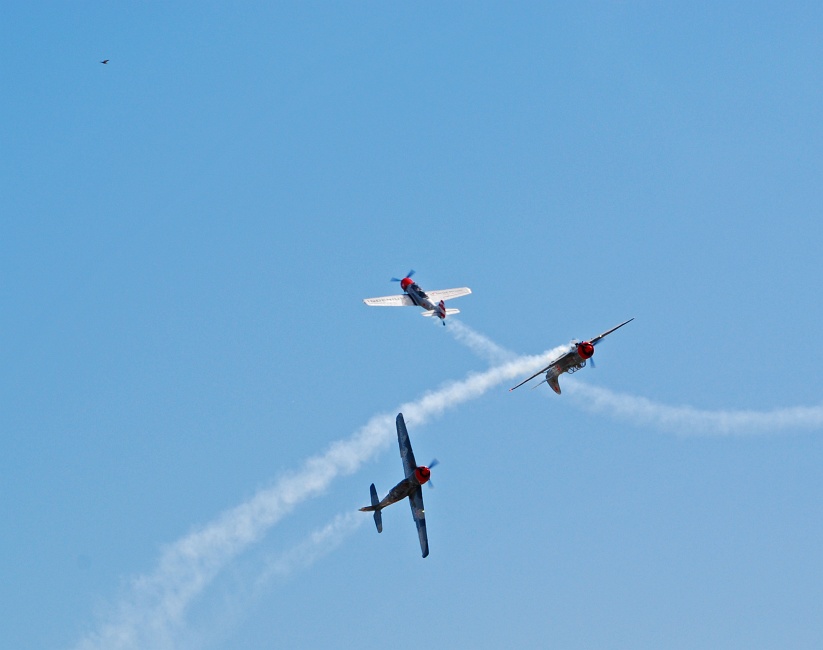 DSC_6726a.jpg - A three-way pass.  A pidgeon, upper left, tries to stay out of the way.