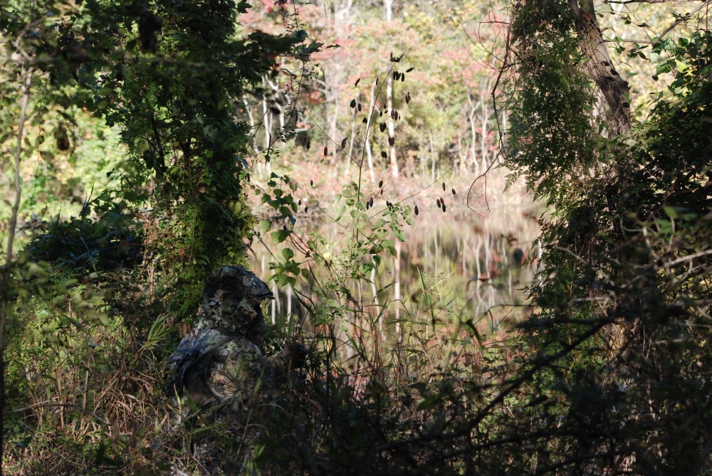 DSC_9682a.jpg - This is a self-portrait, taken at Oxbow Meadows (I'm sitting at the base of the tree on the left).  This is the nice camouflage leaf suit that Beth gave me for my birthday.  Beats the heck out of trying to shoot wildlife while wearing a red Hawaiian shirt (which I've actually done once or twice, believe it or not).   Now if I can only get my camera and tripod to blend in this well.  I'm working on it... several companies make nice camo covers for lenses and tripod legs, I'm just trying to decide whether to spend the money or make my own.