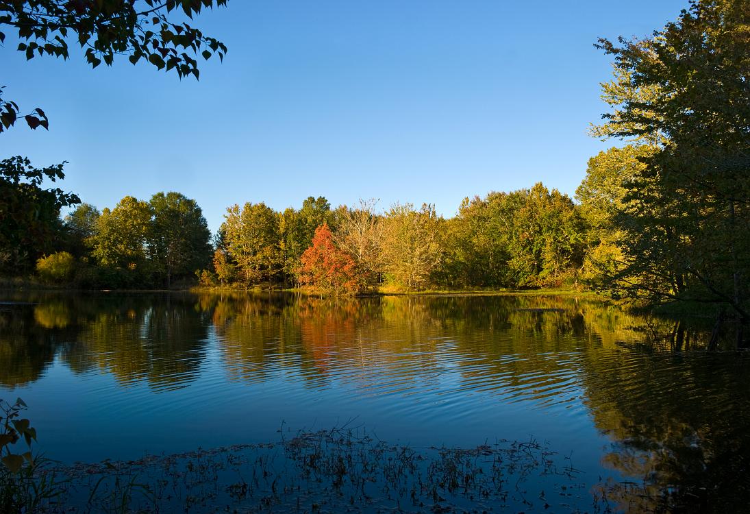 DSC_9697a.jpg - Wide-angle shot at Oxbow Meadows.  After a few peaceful minutes spent looking at a scene like this, you almost forget that you are still inside Columbus city liimits.