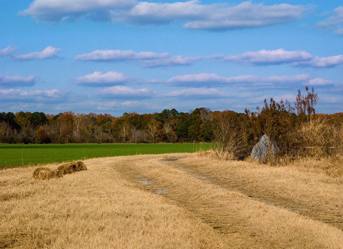 BH08_12_0082b.jpg - This is the long road that runs around the perimeter of the pasture (which is quite large, approximately 800 x 1600 yards).