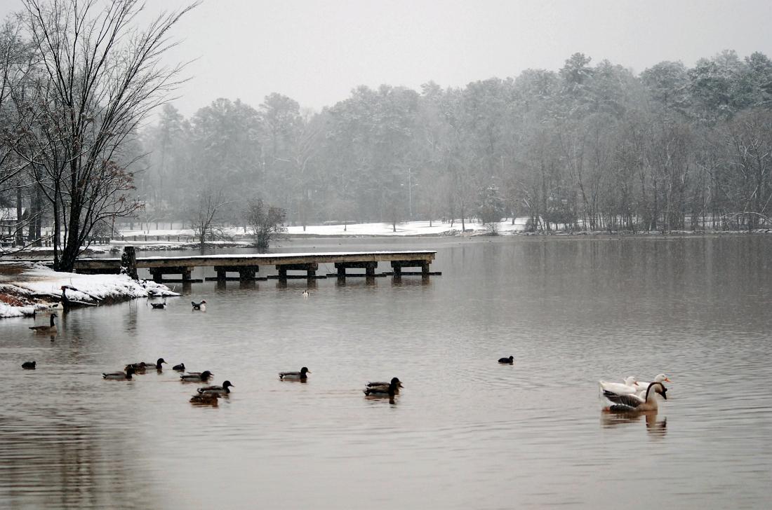 BH10_02_2267a.jpg - Snow at Cooper Creek Park