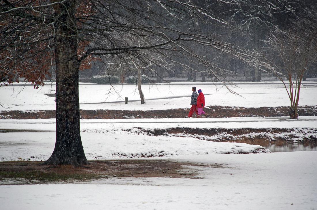 BH10_02_2274a.jpg - Snow at Cooper Creek Park