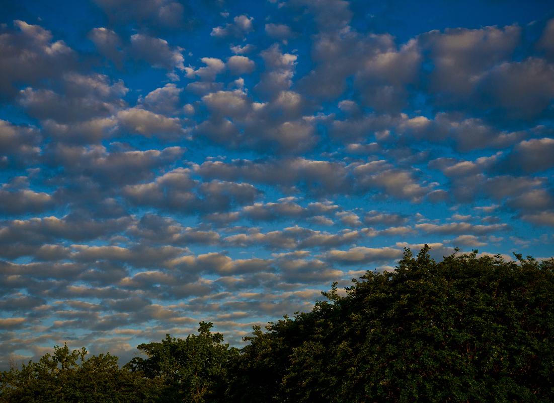 H12_8364a.jpg - Early evening clouds