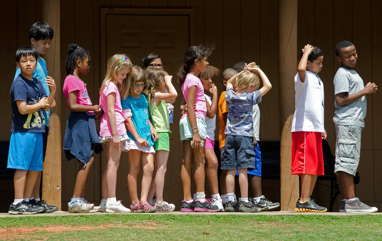 H12_9160a.jpg - When you get to the parking lot, you'll see vacationing families,  lines of schoolkids, zebra-striped tour busses, and a whole bunch of 'zebrafied' jeeps and vans that you can rent (in case you don't want to risk an encounter between your shiny  new car and big critters with horns).