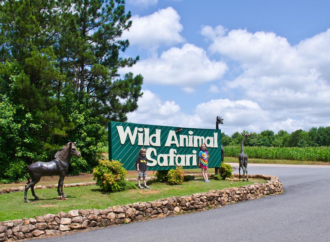 H12_9166a.jpg - North of Pine Mountain and south of LaGrange lies 500 acres of land populated by a diverse collection of critters.  But it's not your usual zoo experience.  Yes, Wild Animal Safari does have a few cages and pens ... but the real attraction is in the winding road that leads thru an open park where creatures from far away lands come right up to your car.
