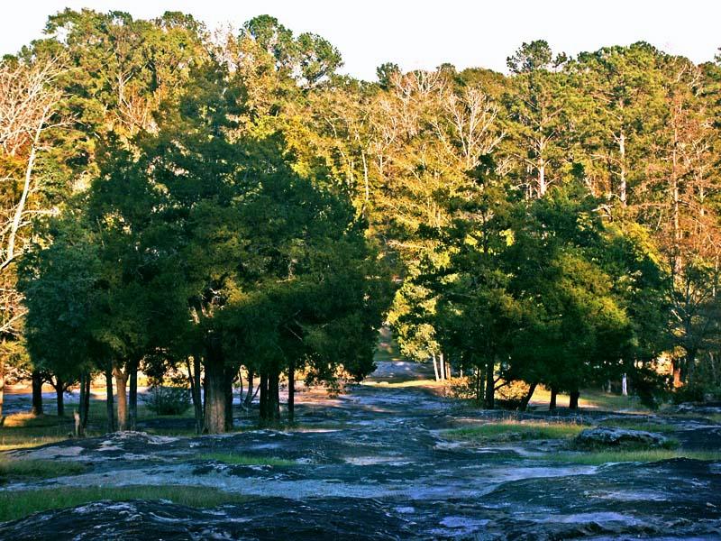 PICT2669a.jpg - Flat Rock Park, Columbus, GA. Nov 2003.  Minolta Dimage 7, 26mm f 4 @ 1/350