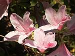 PICT0770